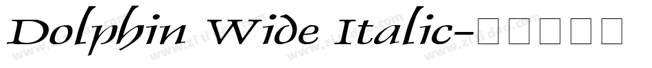 Dolphin Wide Italic字体转换